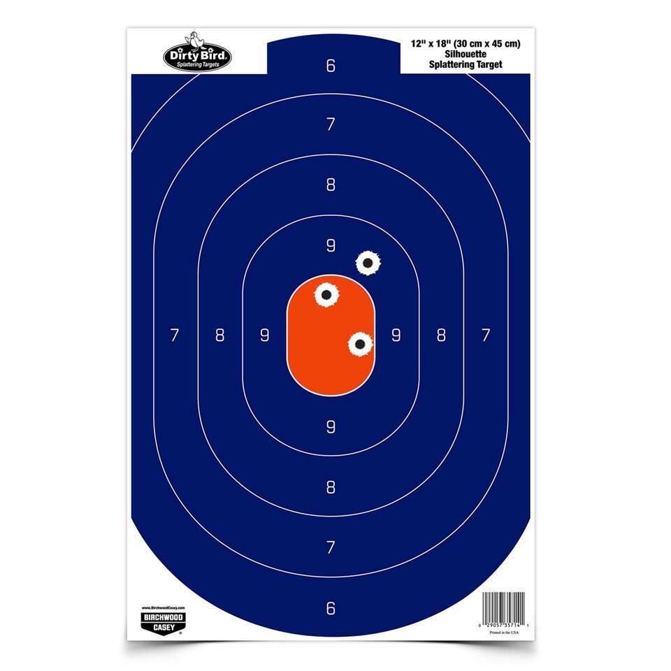 Targets Birchwood Casey Tagboard BIR 35720          DIRTYBRD 12X18 SIL BLU/ORG 50PK • Model: Tagboard